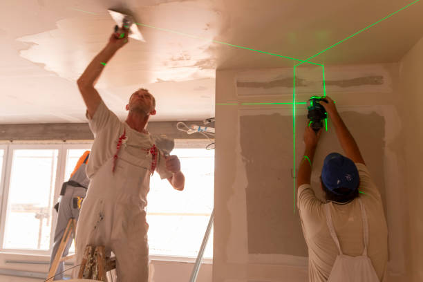 Best Drywall Removal and Disposal  in Tysons, VA